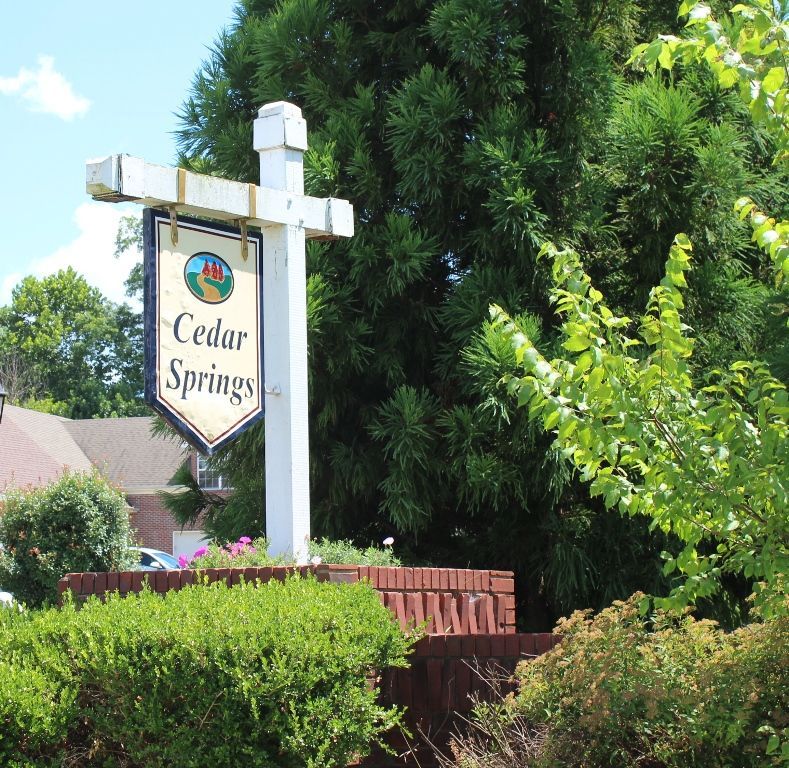 Cedar Springs Real Estate Listings